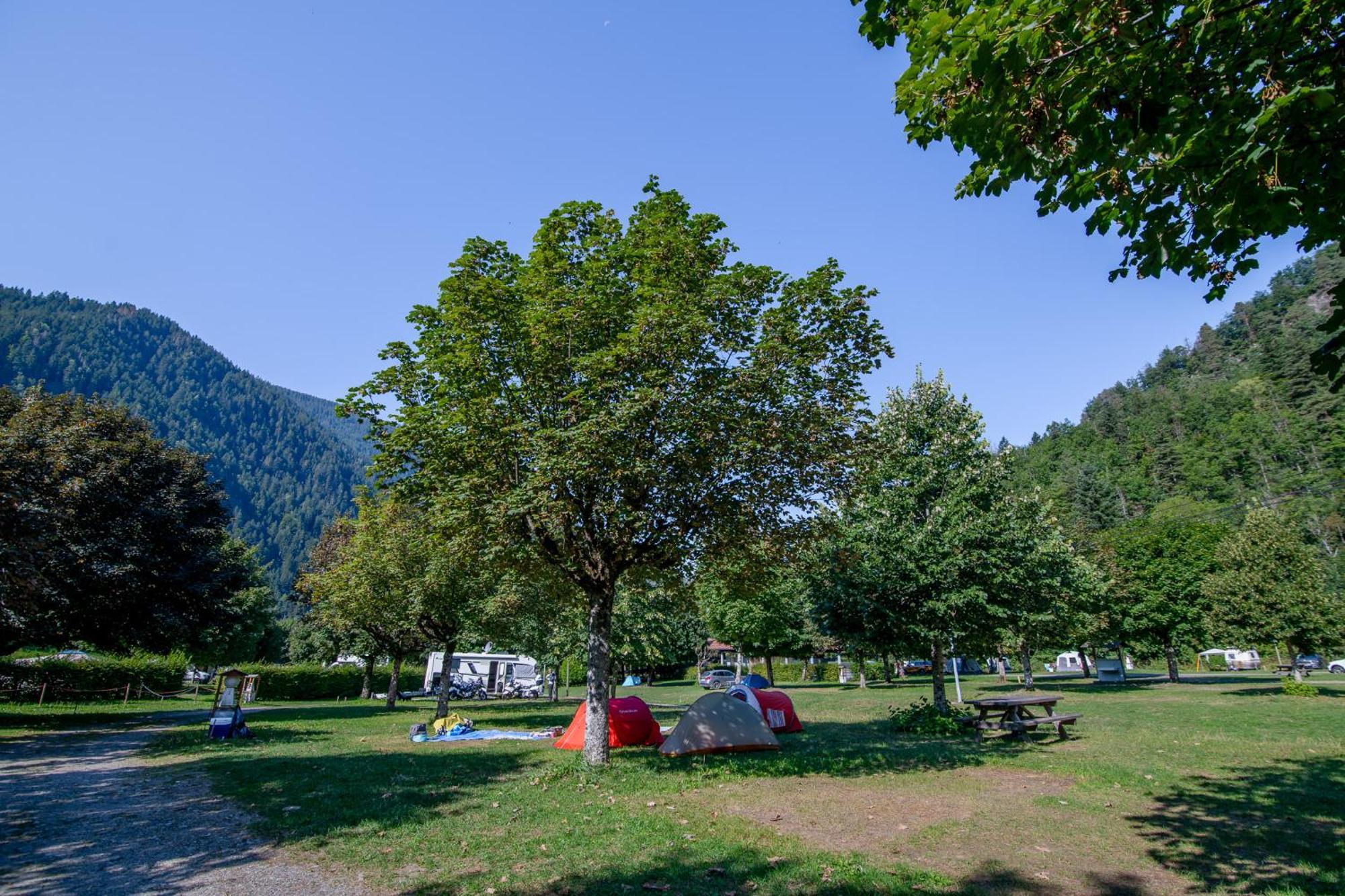 Campsite Camping Onlycamp Domelin *